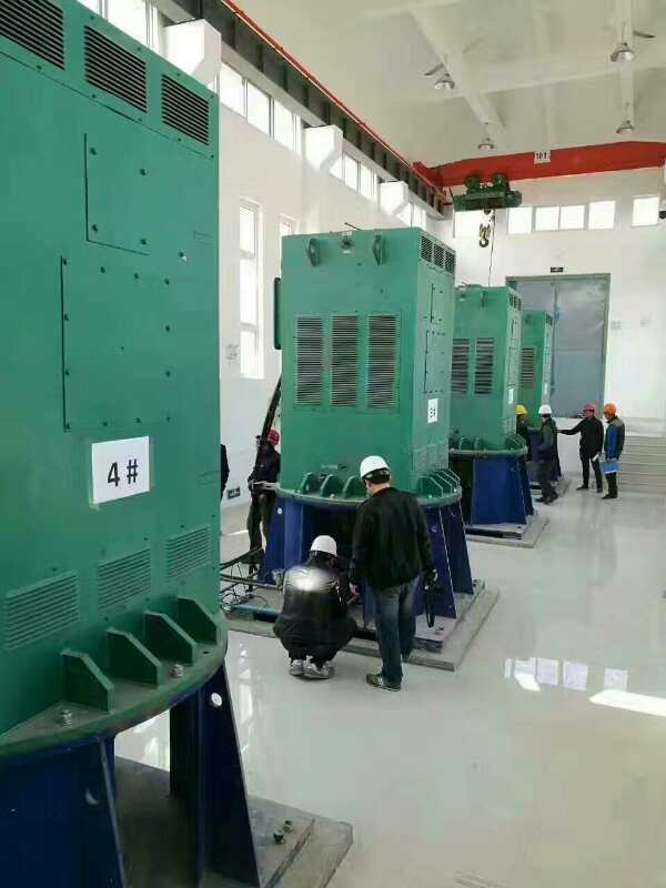 凤凰镇某污水处理厂使用我厂的立式高压电机安装现场现货销售